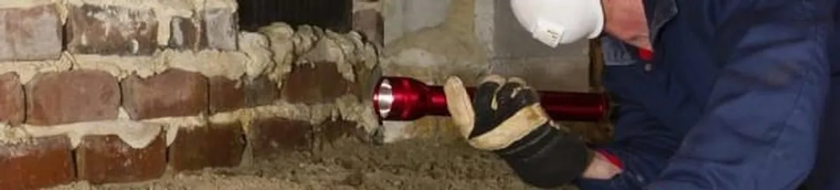 Pest control technician inspecting a crawl space for ant activity and entry points in Eugene, OR
