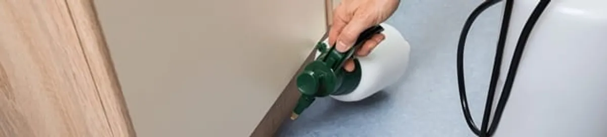 Bed bug exterminator treating baseboards and cracks with targeted spray in Eugene, OR