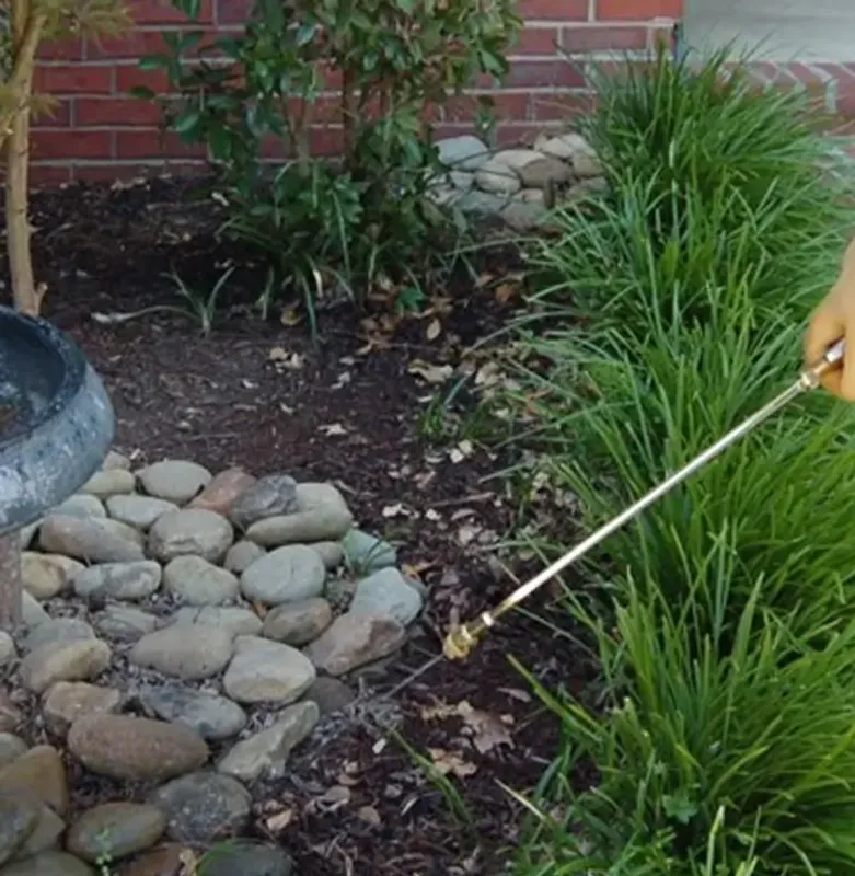 Father & Son Pest Control photo 2