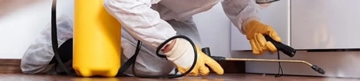 Roach exterminator treating cracks and crevices along kitchen baseboards in Eugene, OR