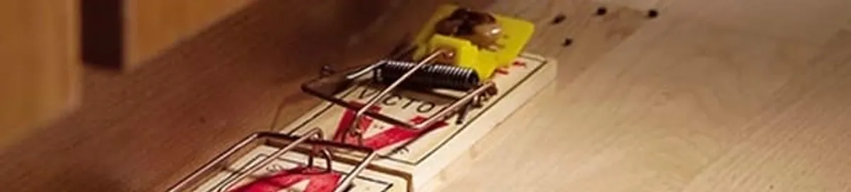 Rodent trap set indoors for rodent control and prevention in Eugene, OR